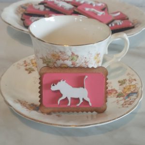 Zoo Cookie Magnets - Warthog Male